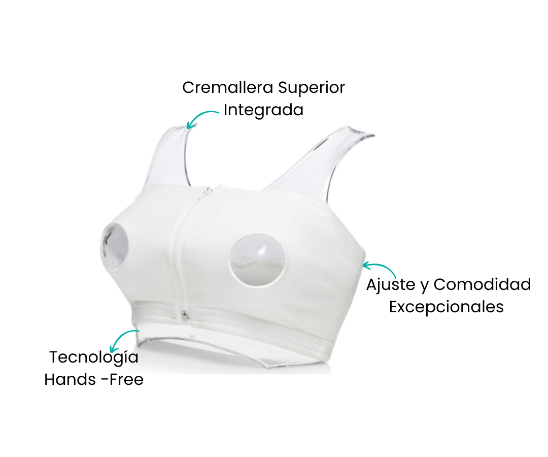 Características