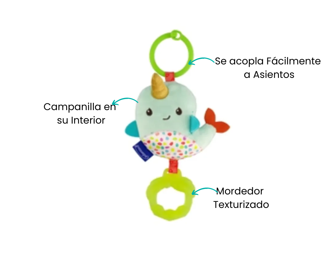 Características