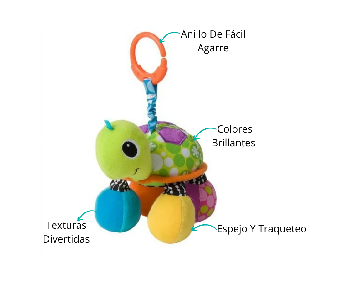 Características
