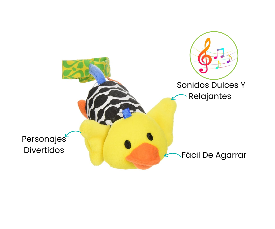 Características