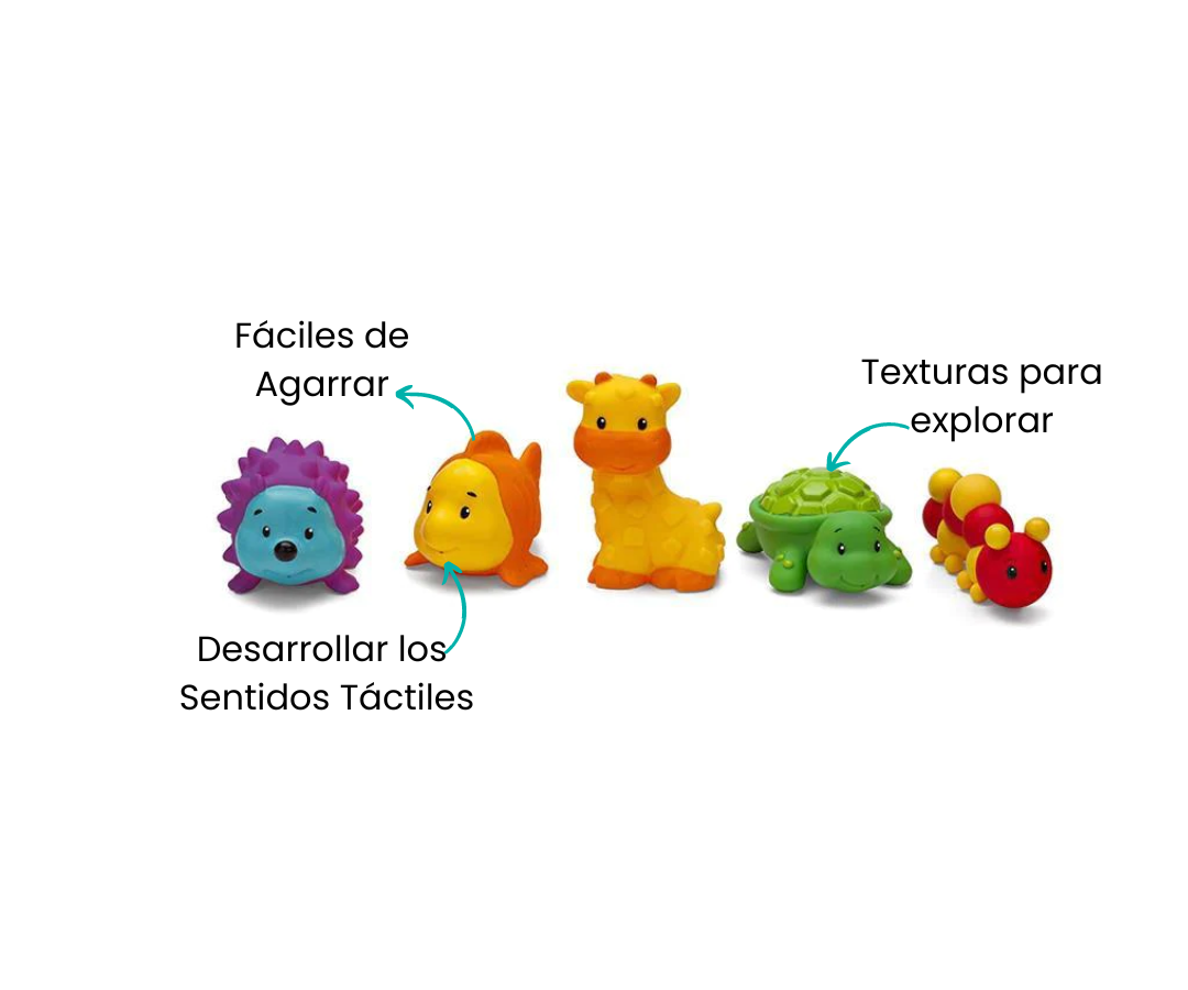 Características
