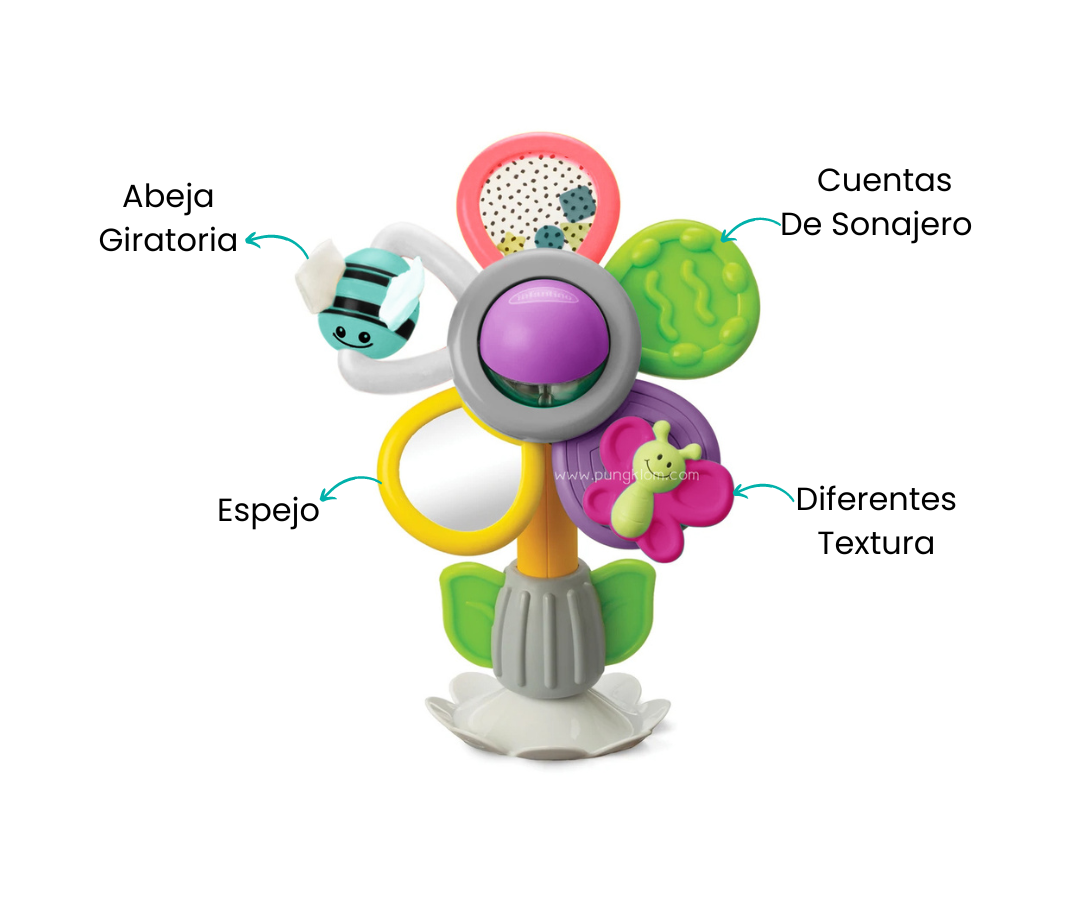 Características