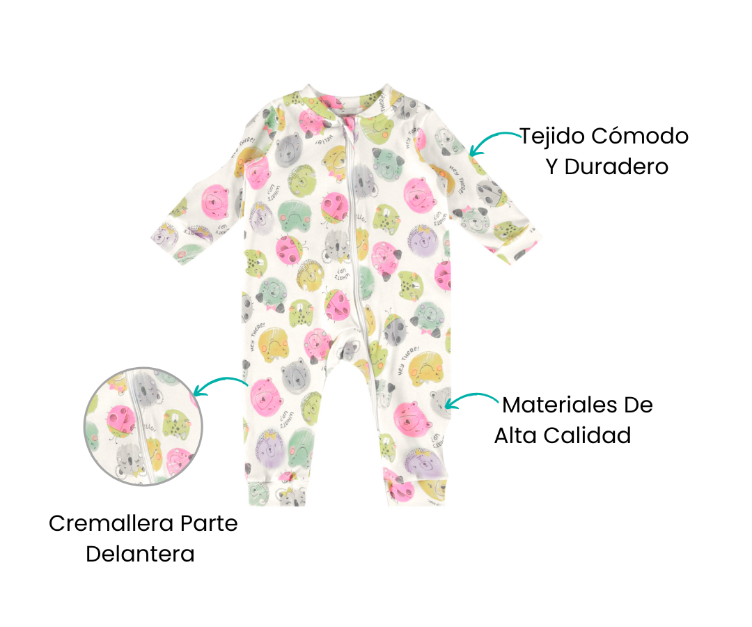 Características