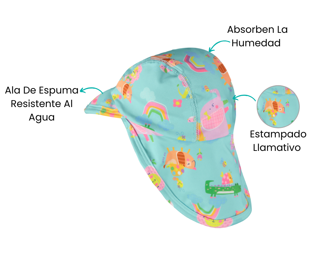 Características