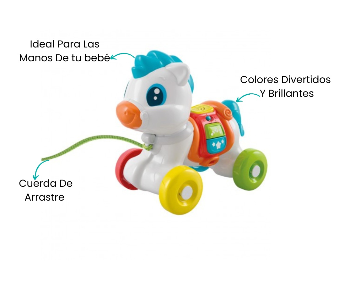 Características