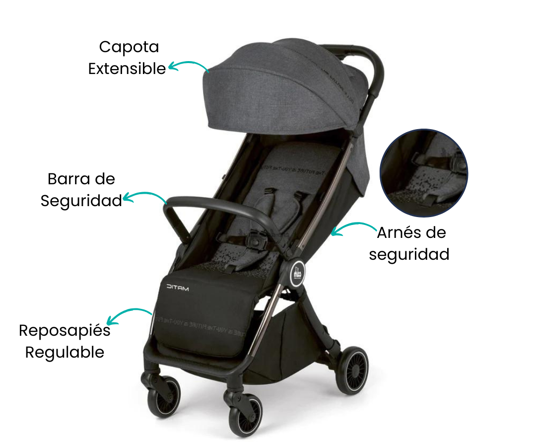 Características