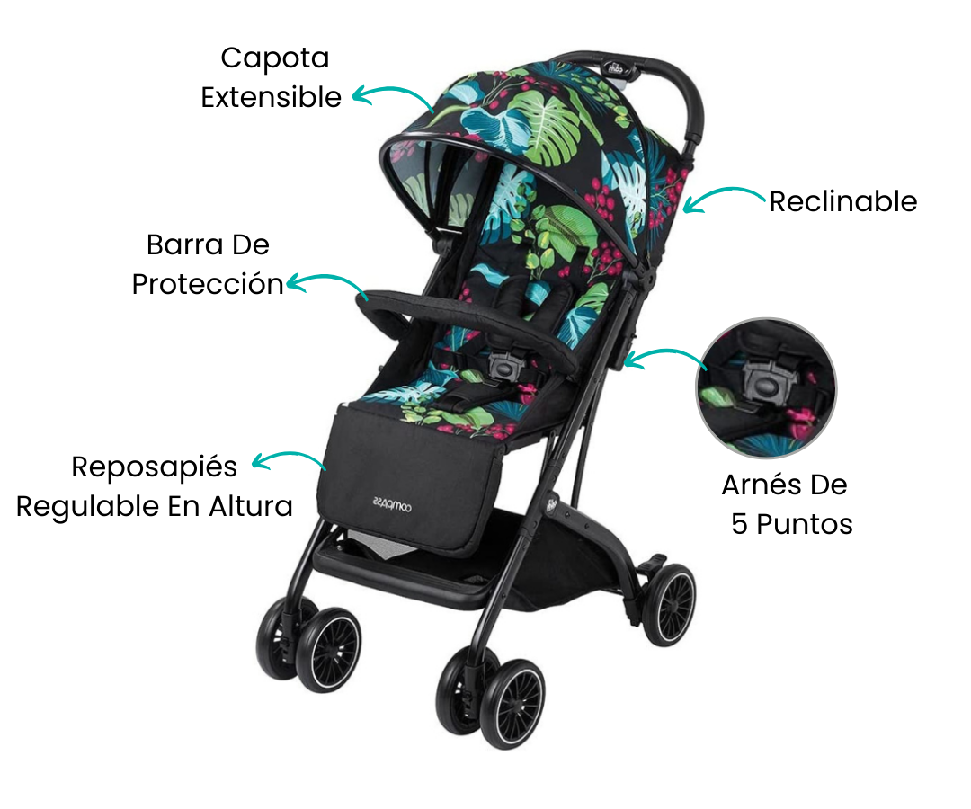 Características
