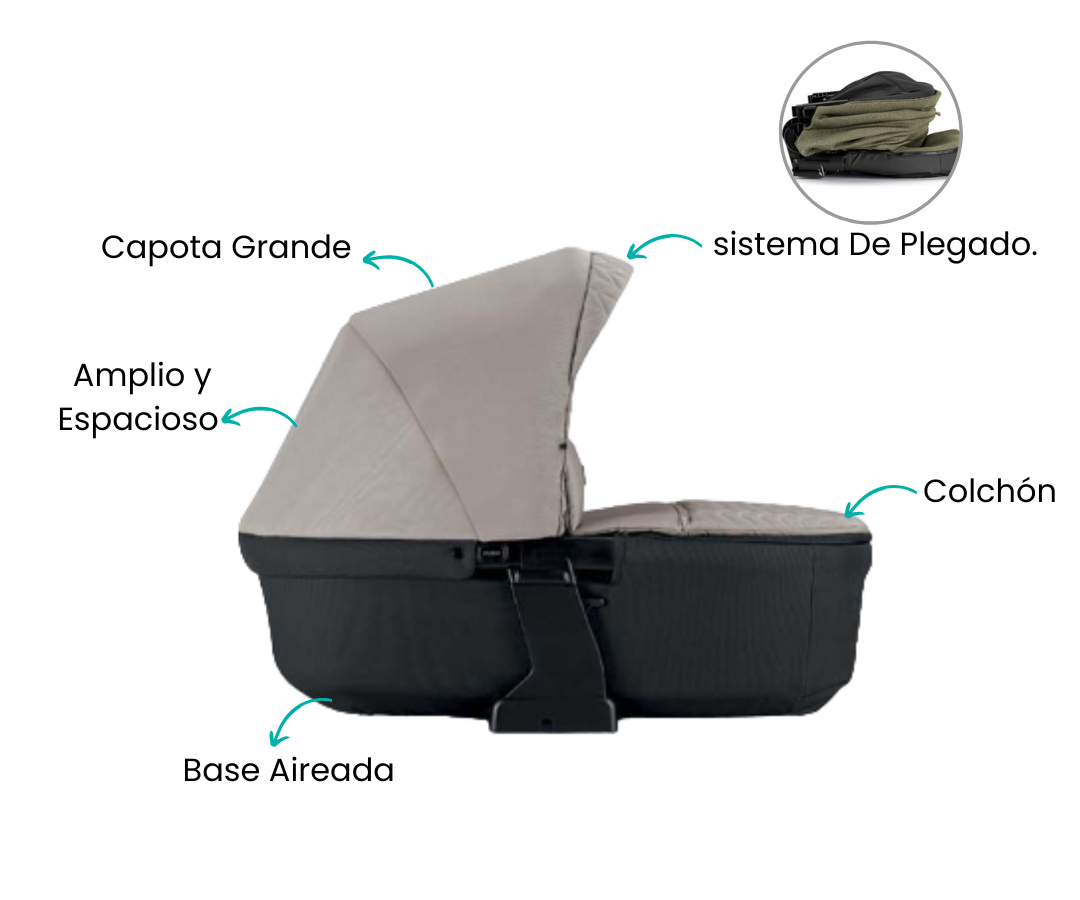 Características