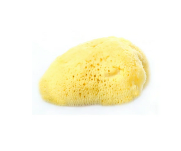 Esponja Natural Fine Silk # 10 Bellini