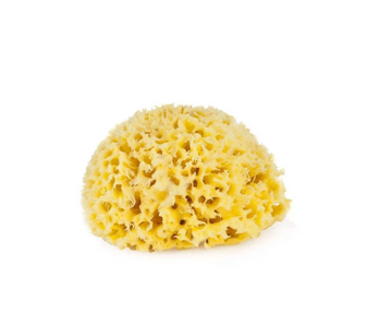 Esponja Natural Honey Comb # 8 Bellini