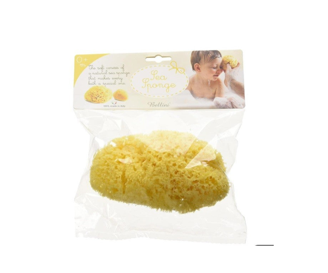 Esponja No. 12 Bellini