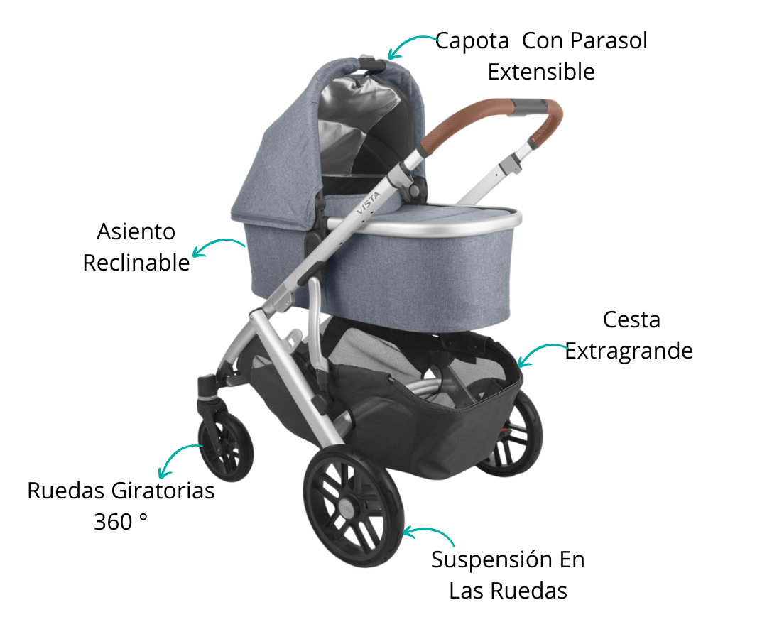 Características