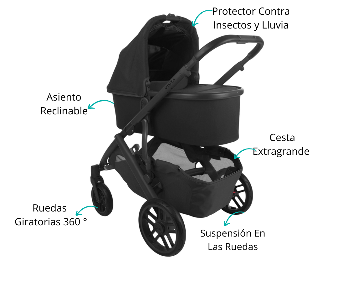 Características