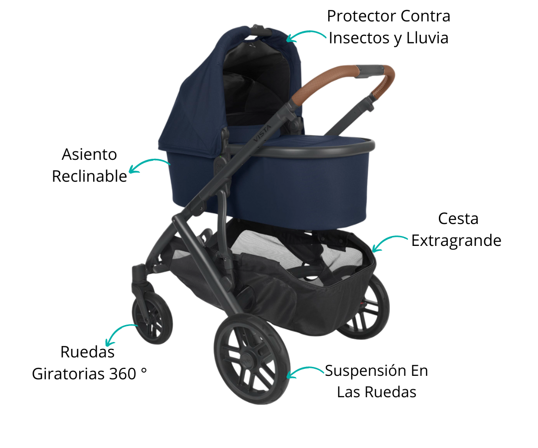 Características