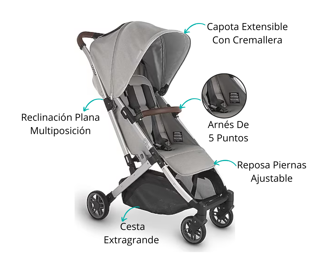 Características