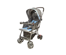 Coche Reversible | Celeste Peke