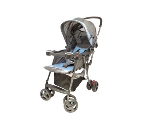 Coche Reversible | Celeste Peke