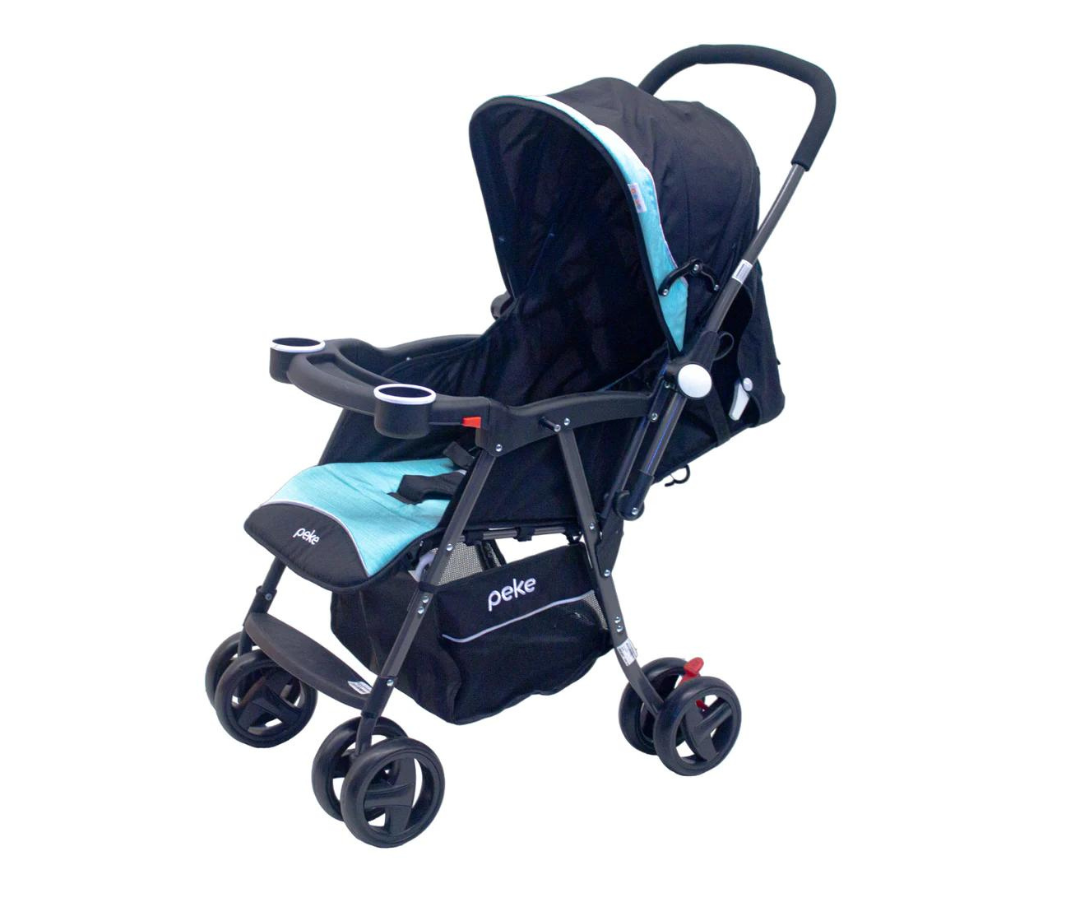 Stroller Reversible (AQUA/ GRAY) Born