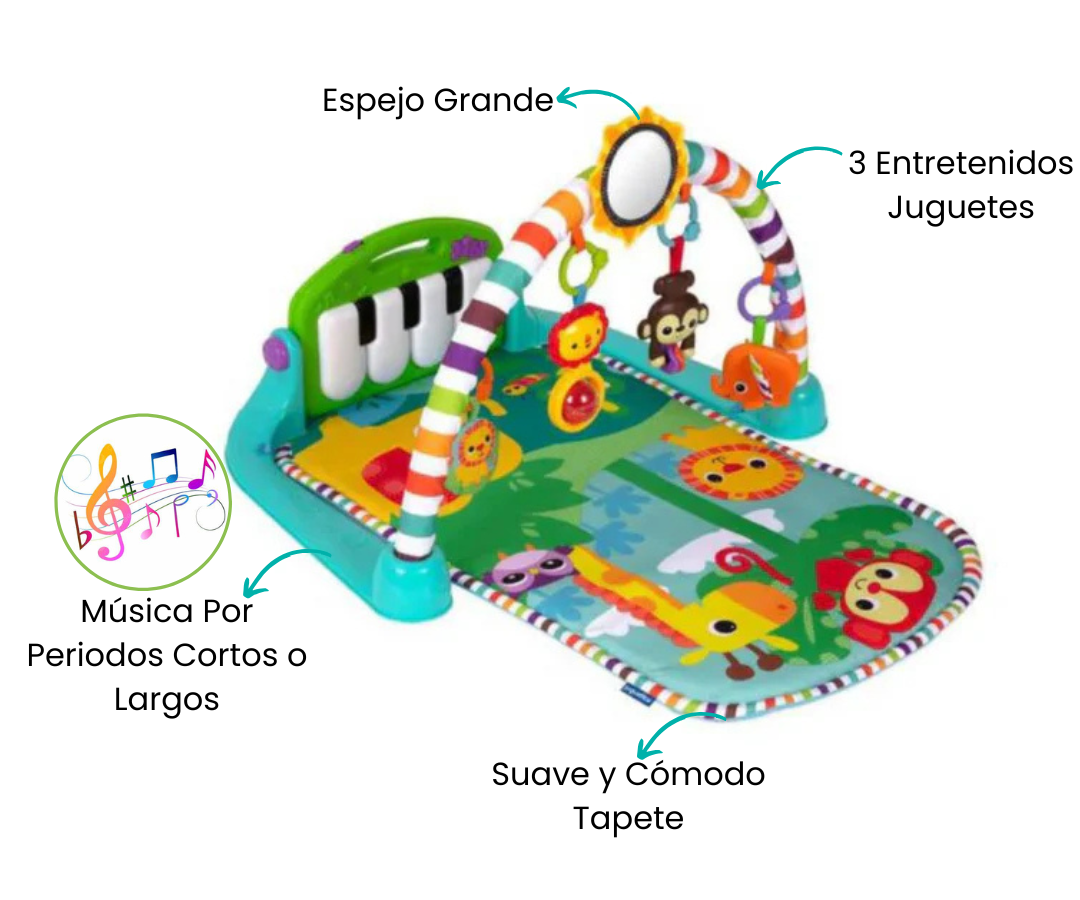 Características