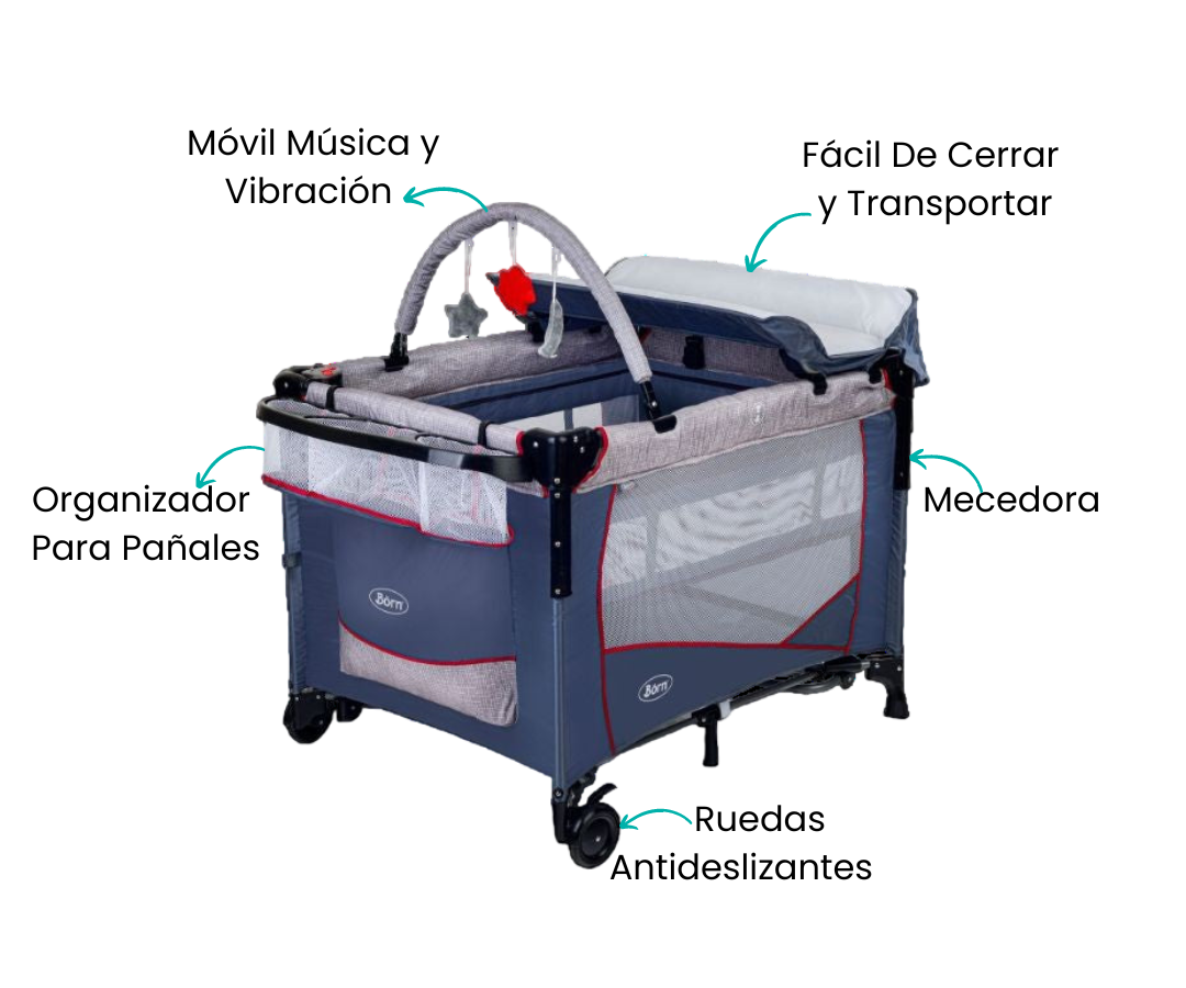 Características