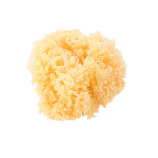 Esponja Natural Saro