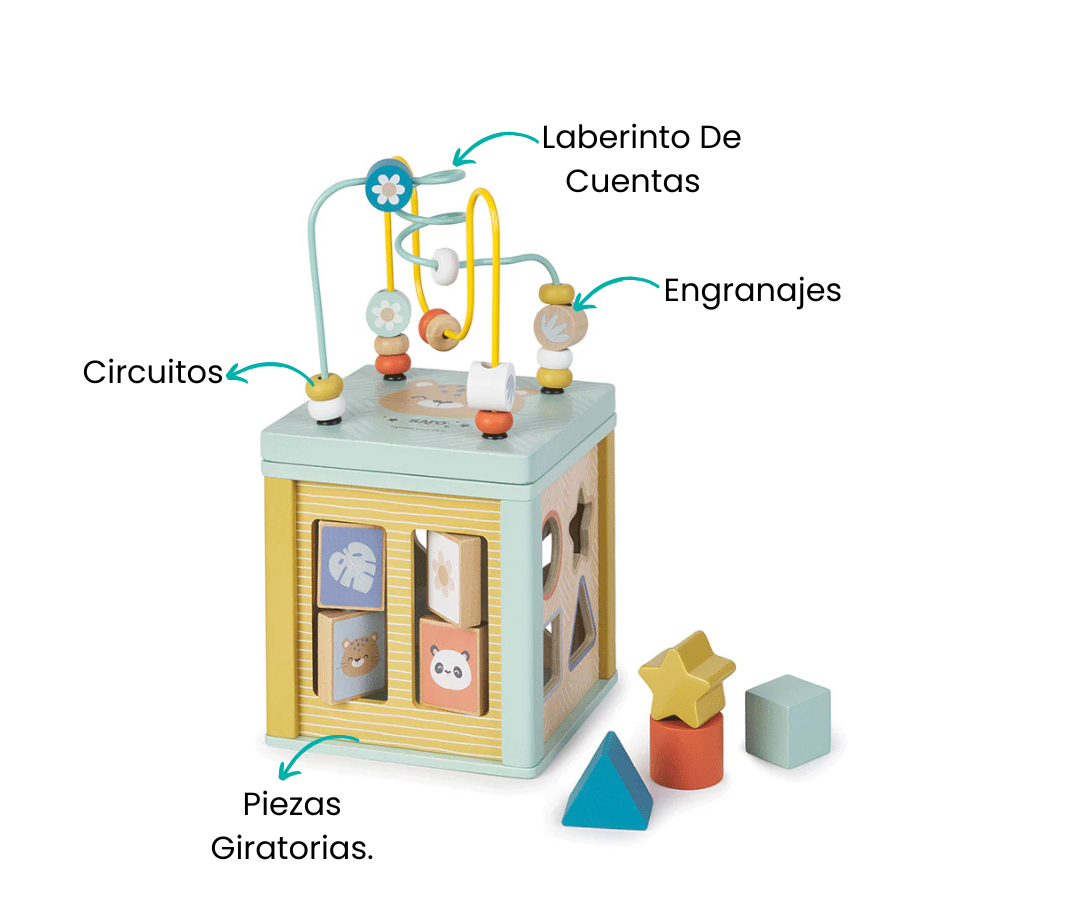Características