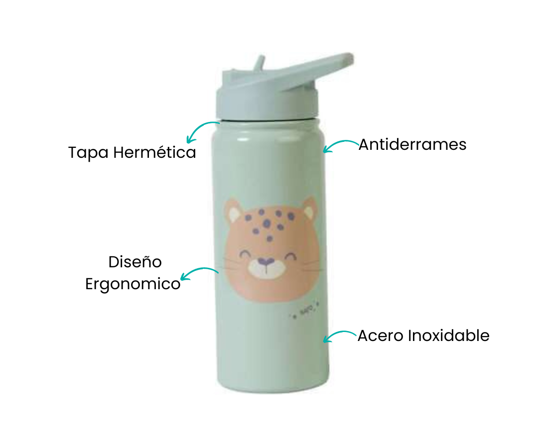Características