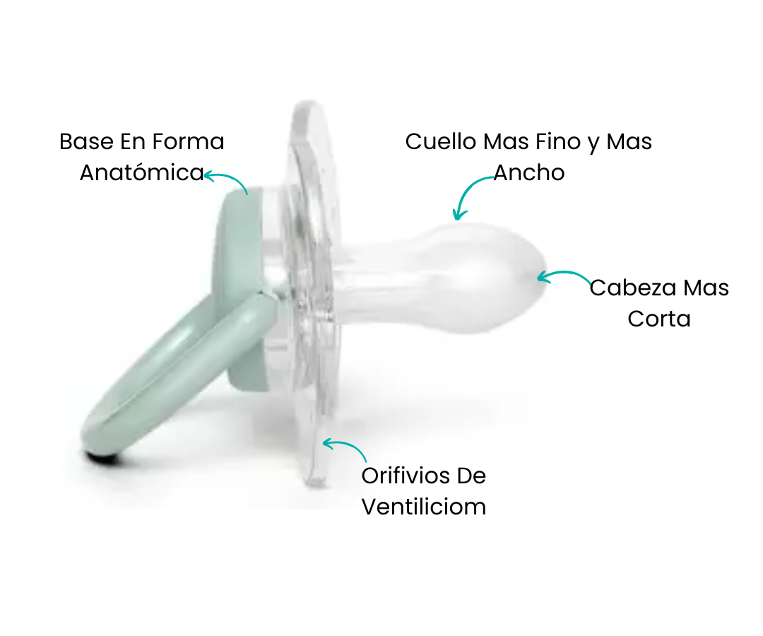Características