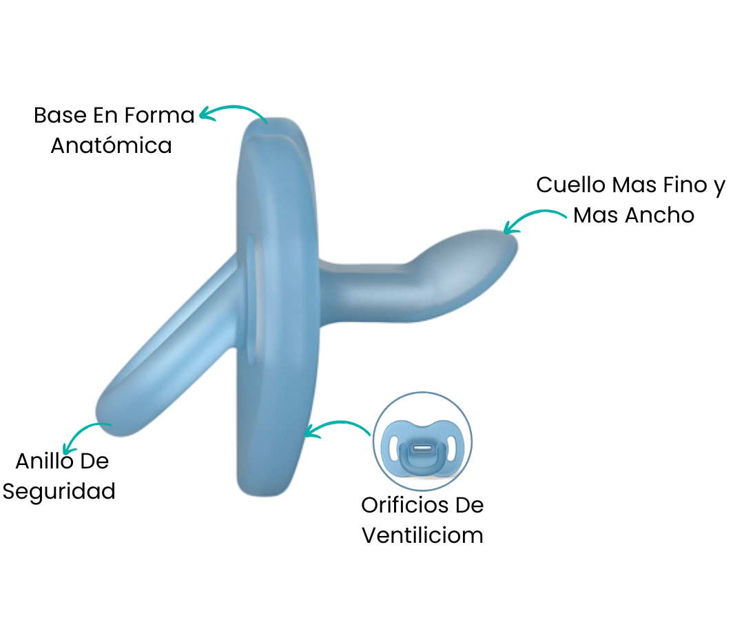 Características