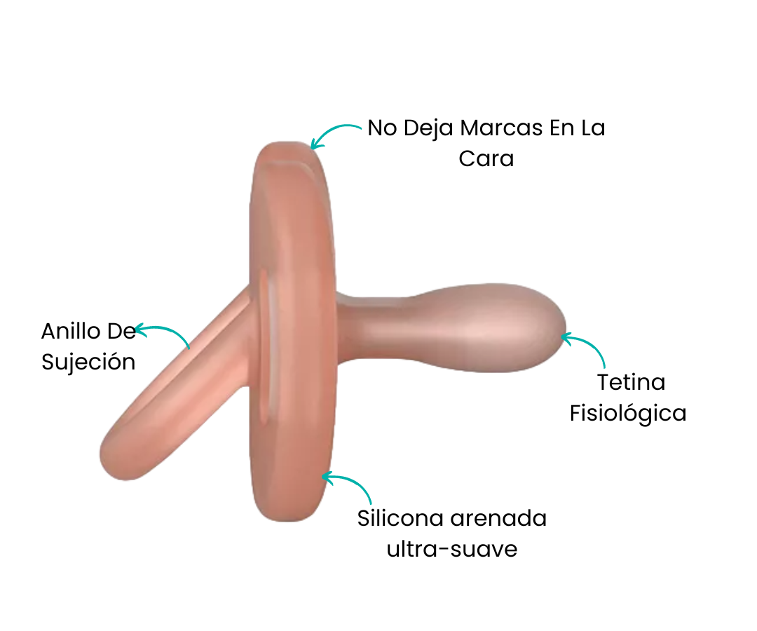 Características