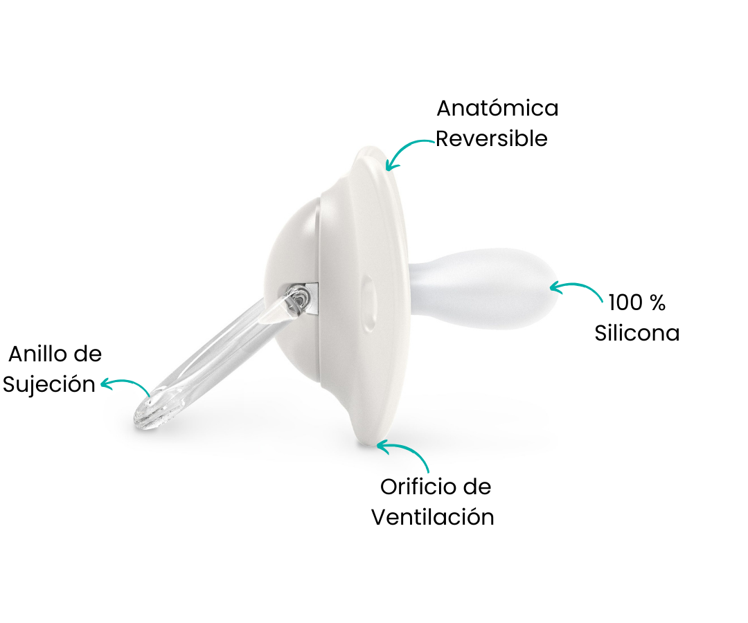 Características
