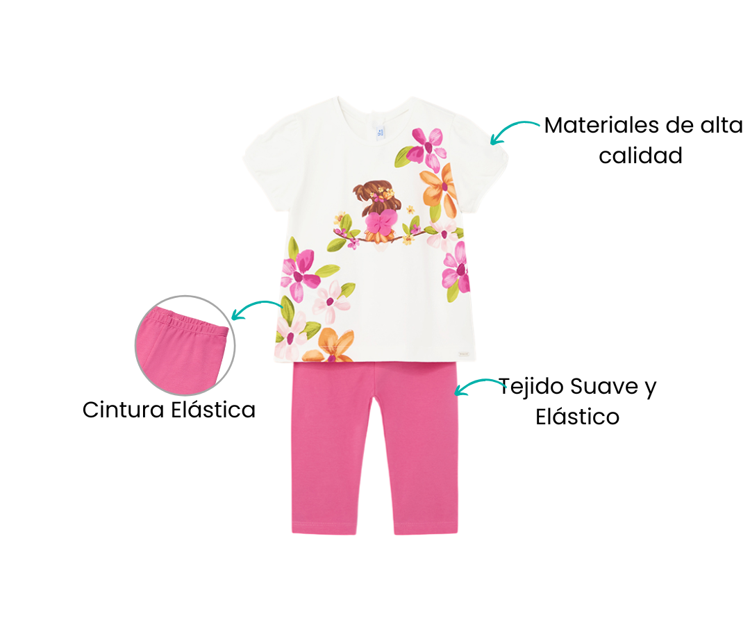 Características