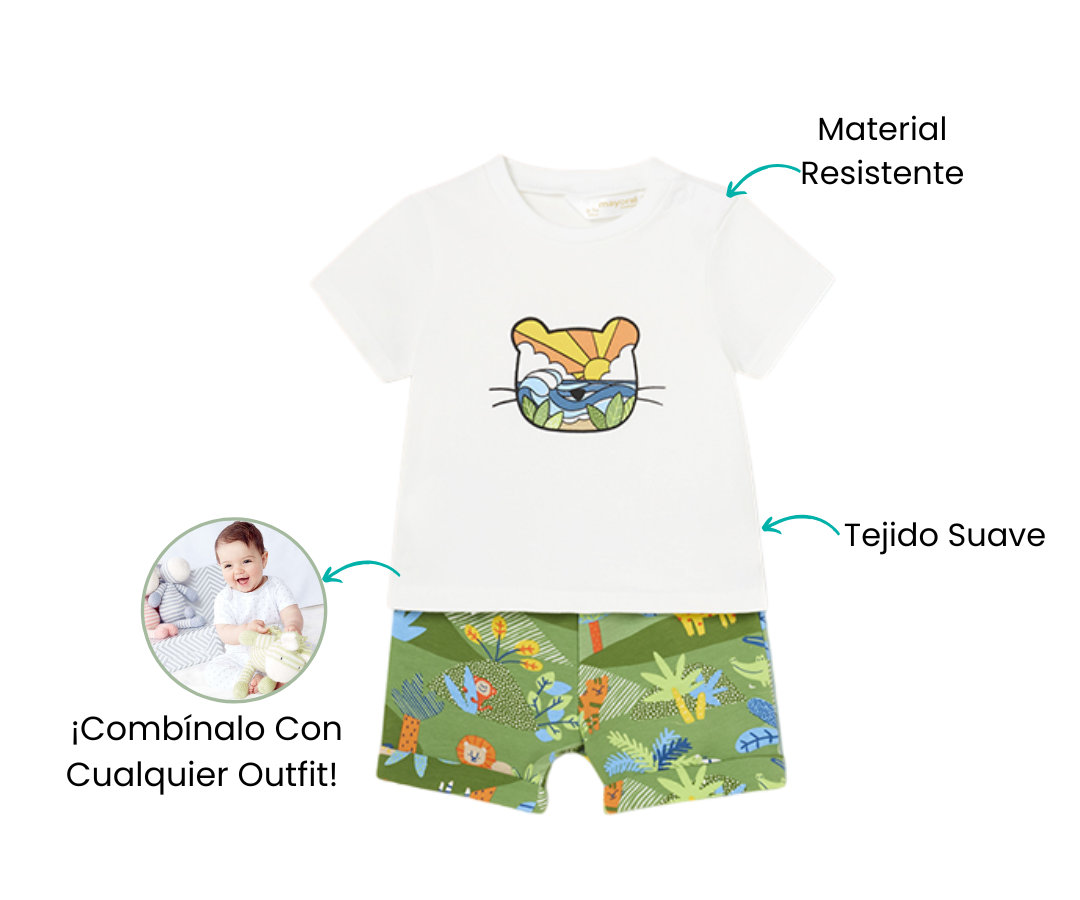 Características