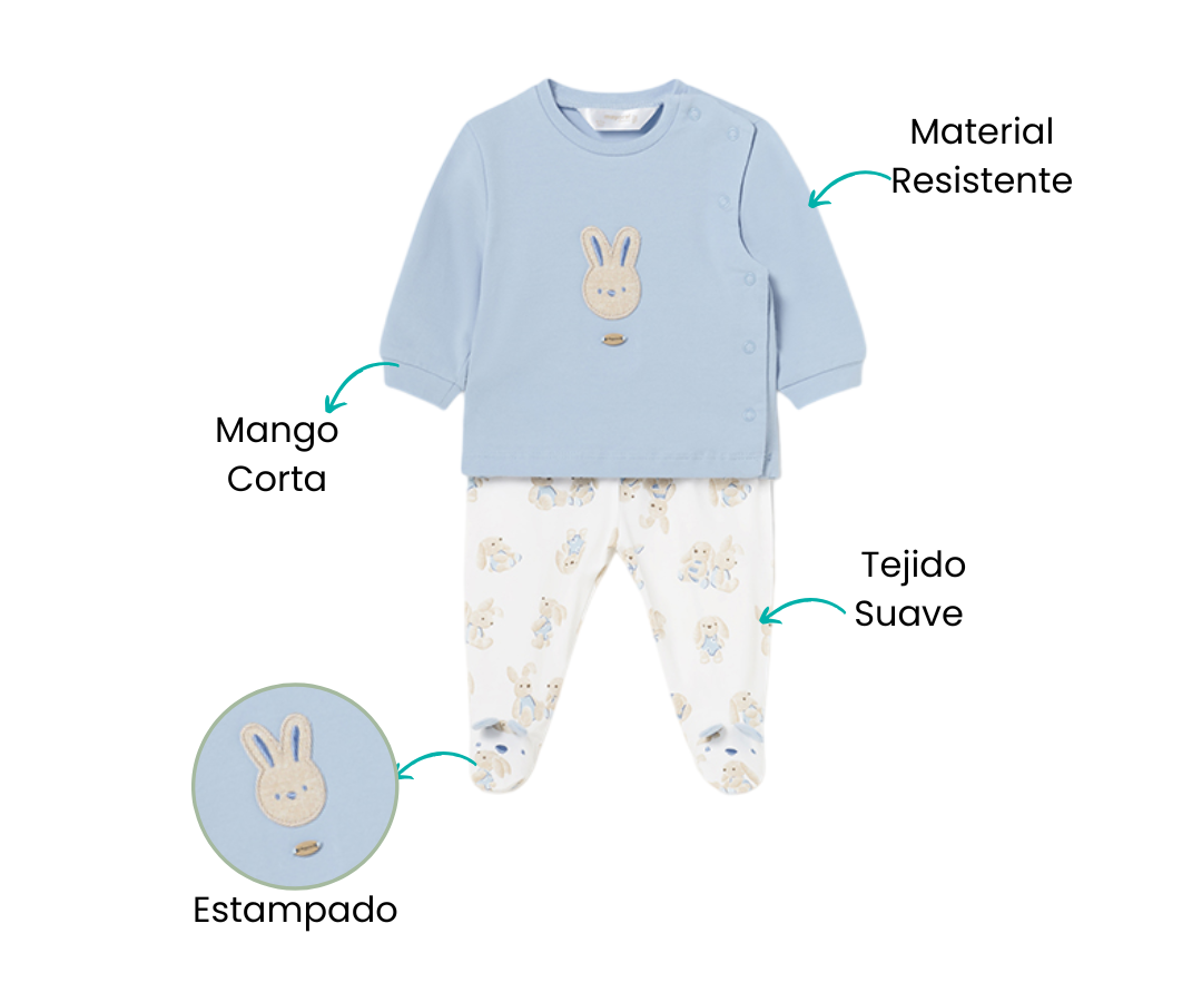 Características