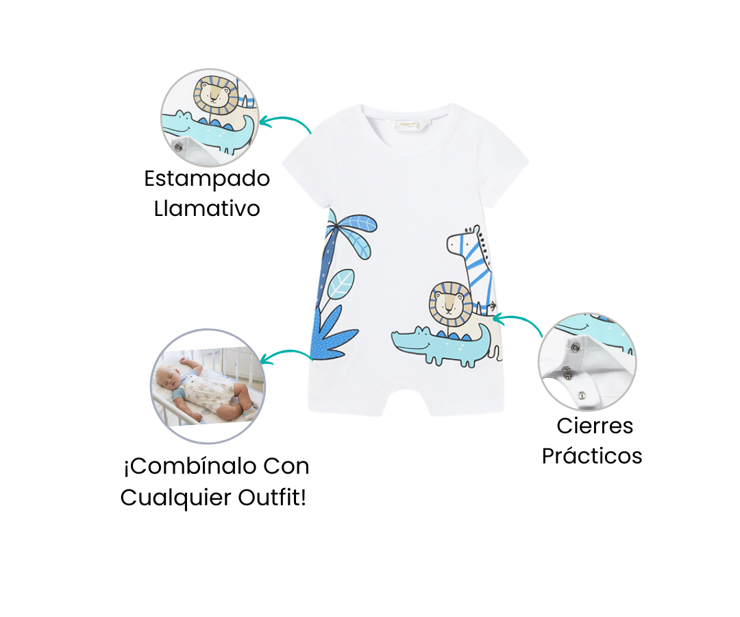 Características