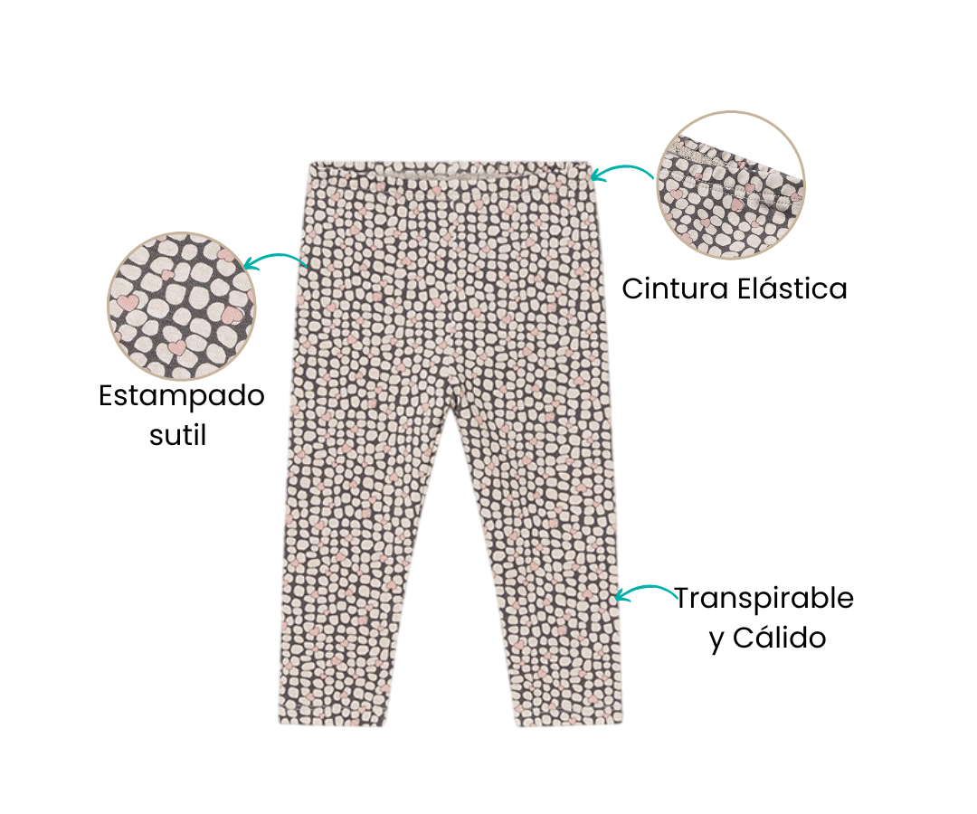 Características