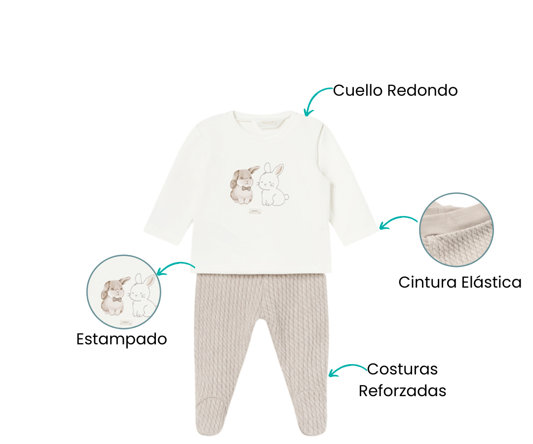 Características