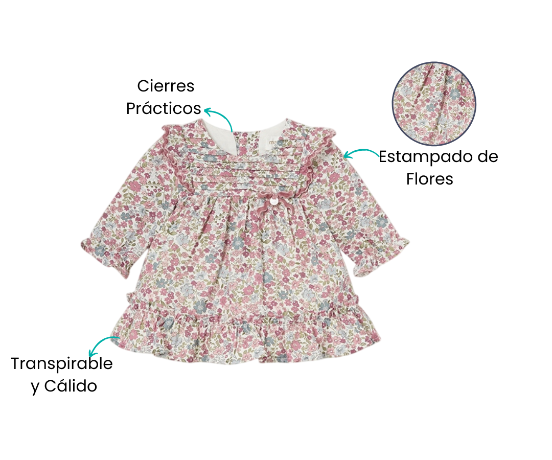 Características