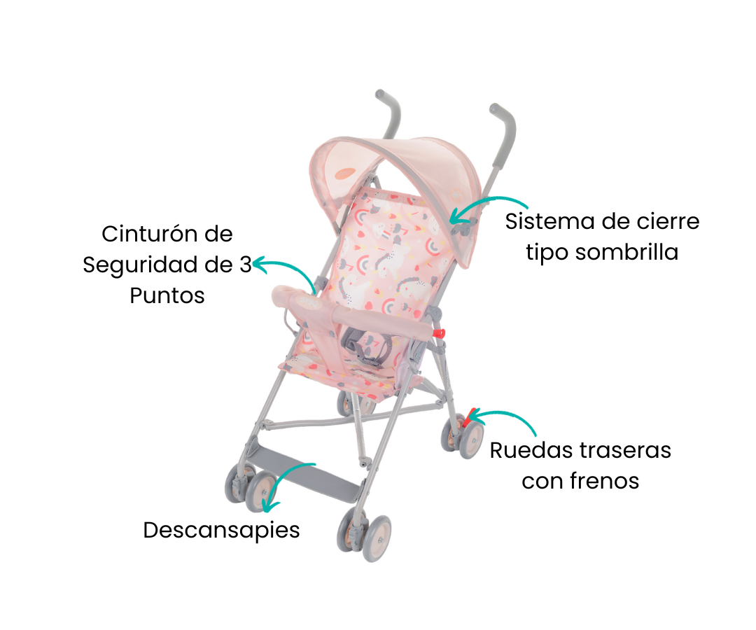 Características