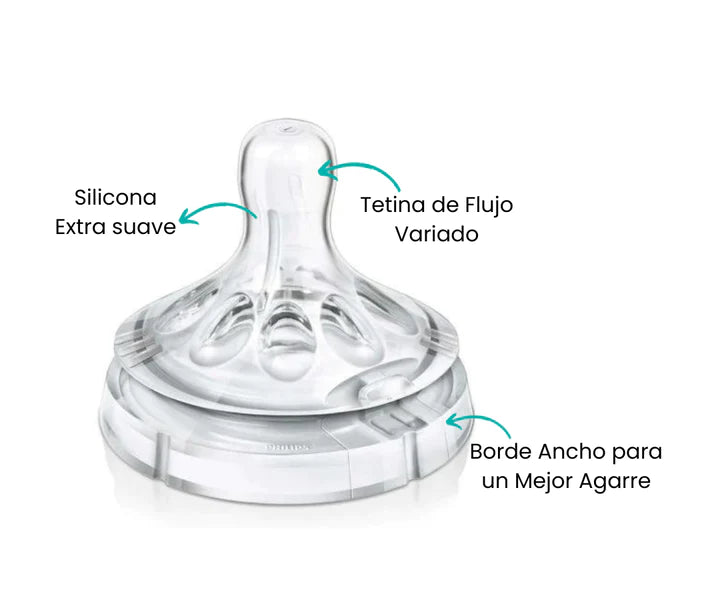 Características