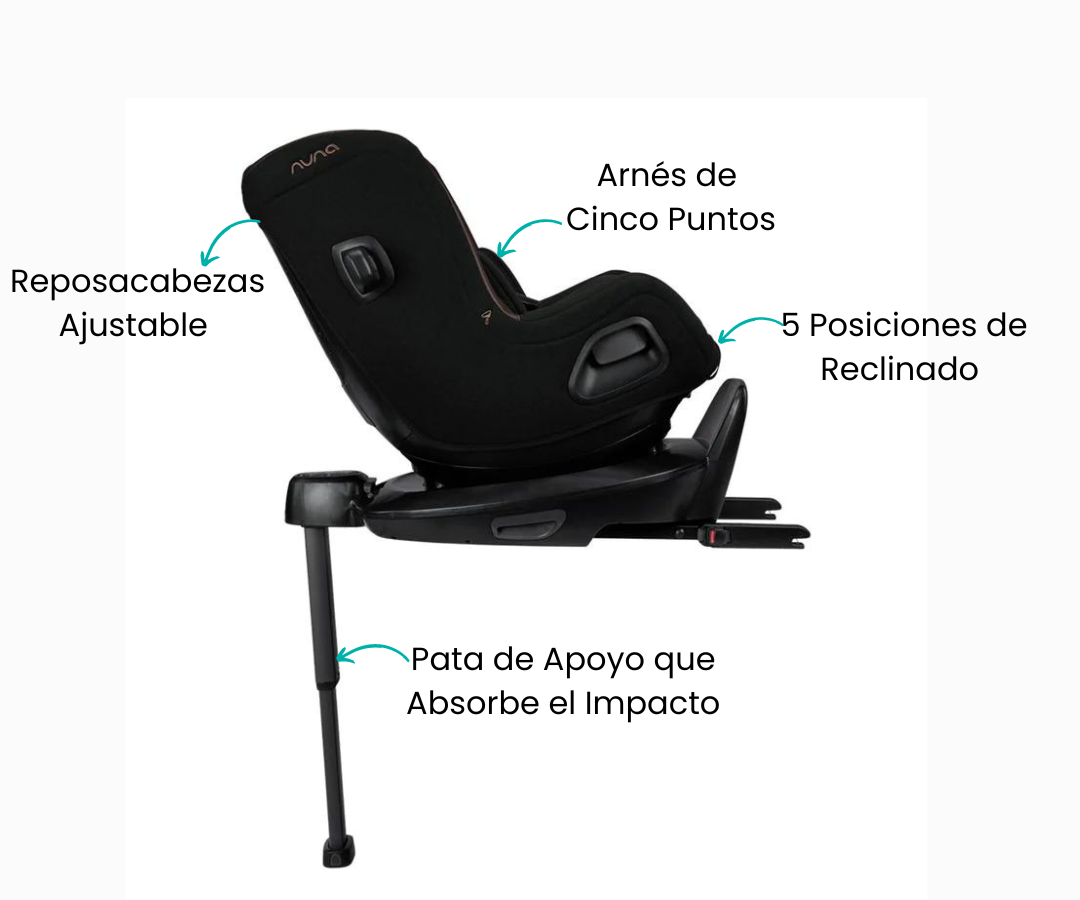 Características