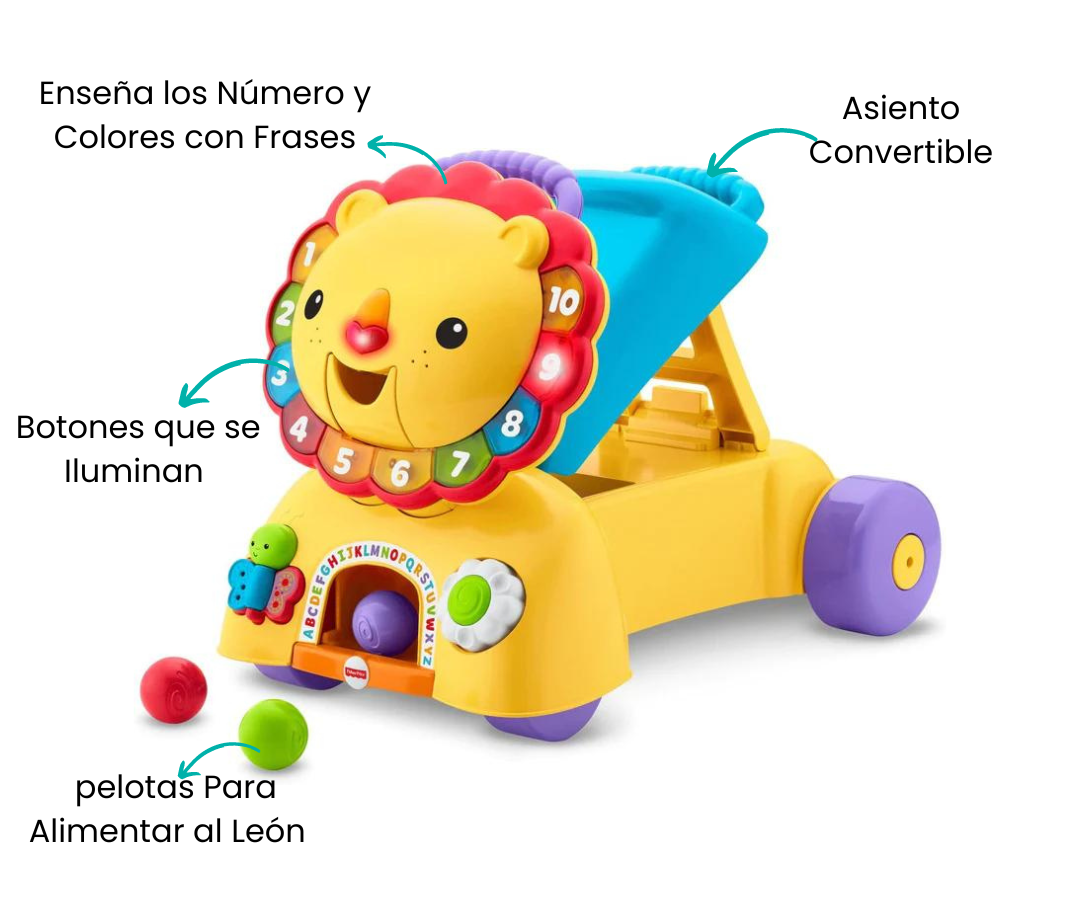 Características