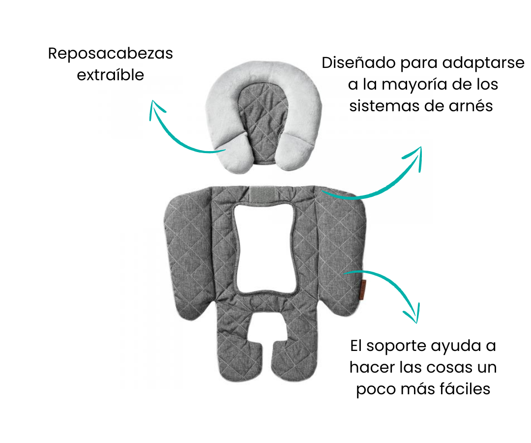 Características