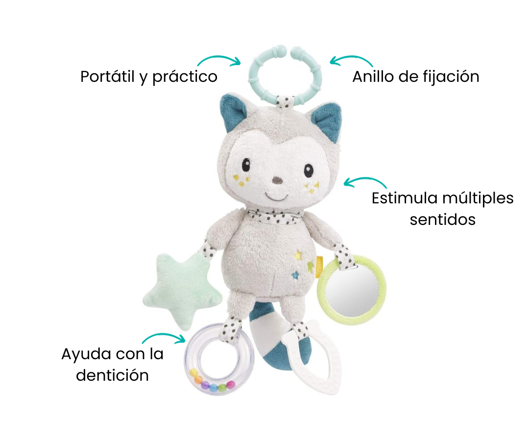 Características