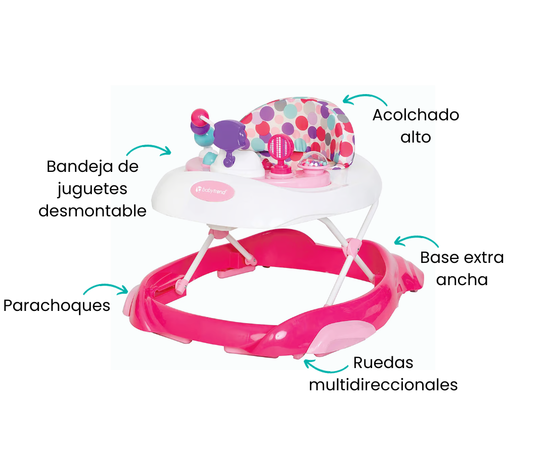 Características