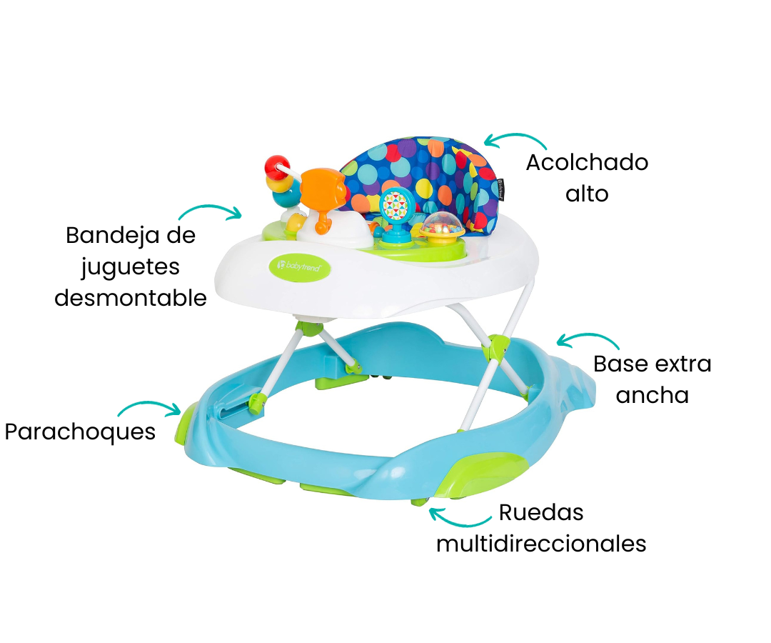 Características