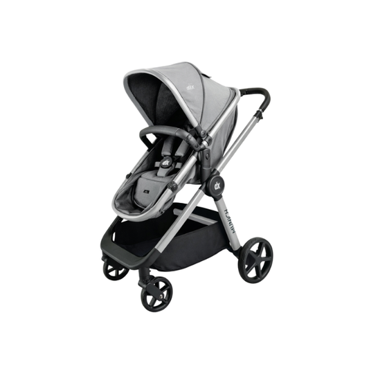 Coche DLX Munich Trav. System 0-20 Kg |  Grey - Born