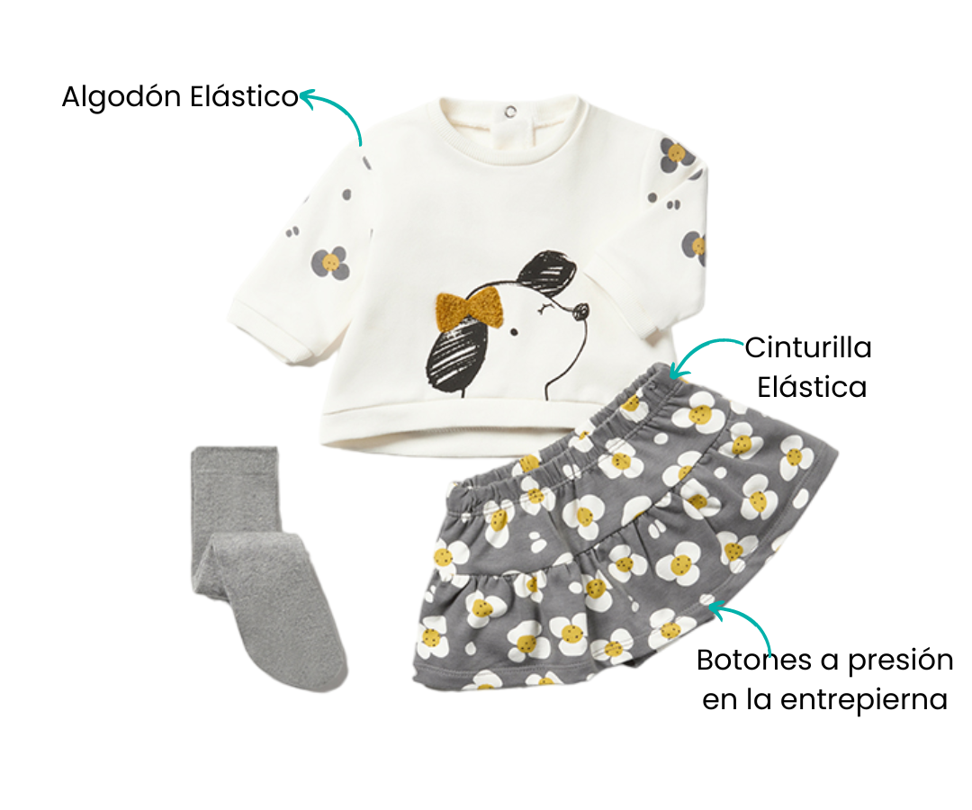 Características