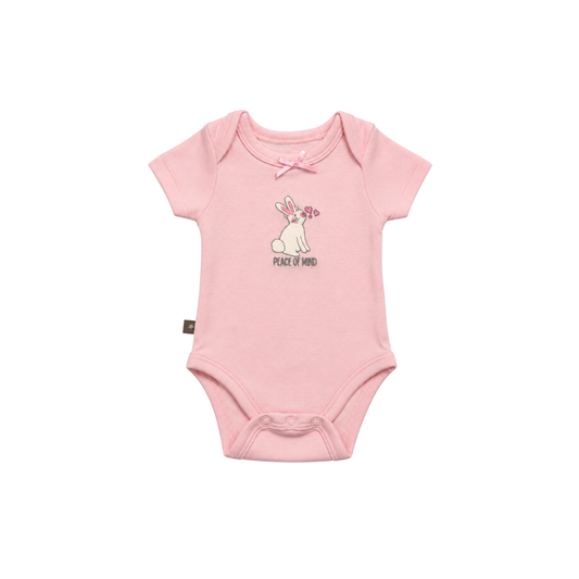 Conjunto 3 Enterizos Manga Corta | Flores - B4baby