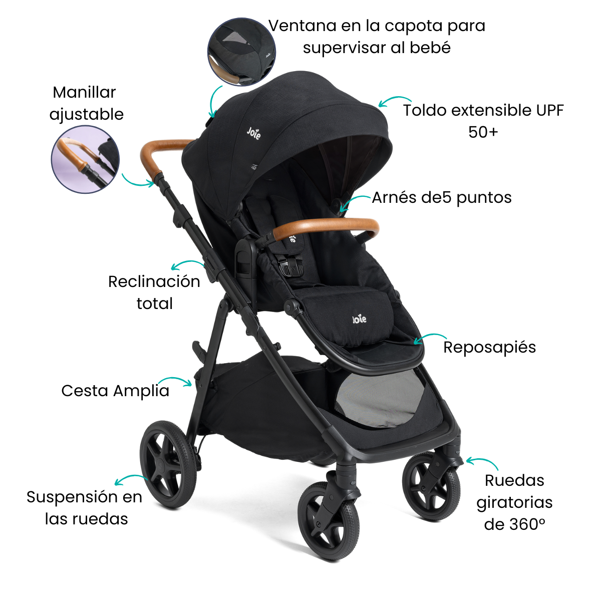 Características